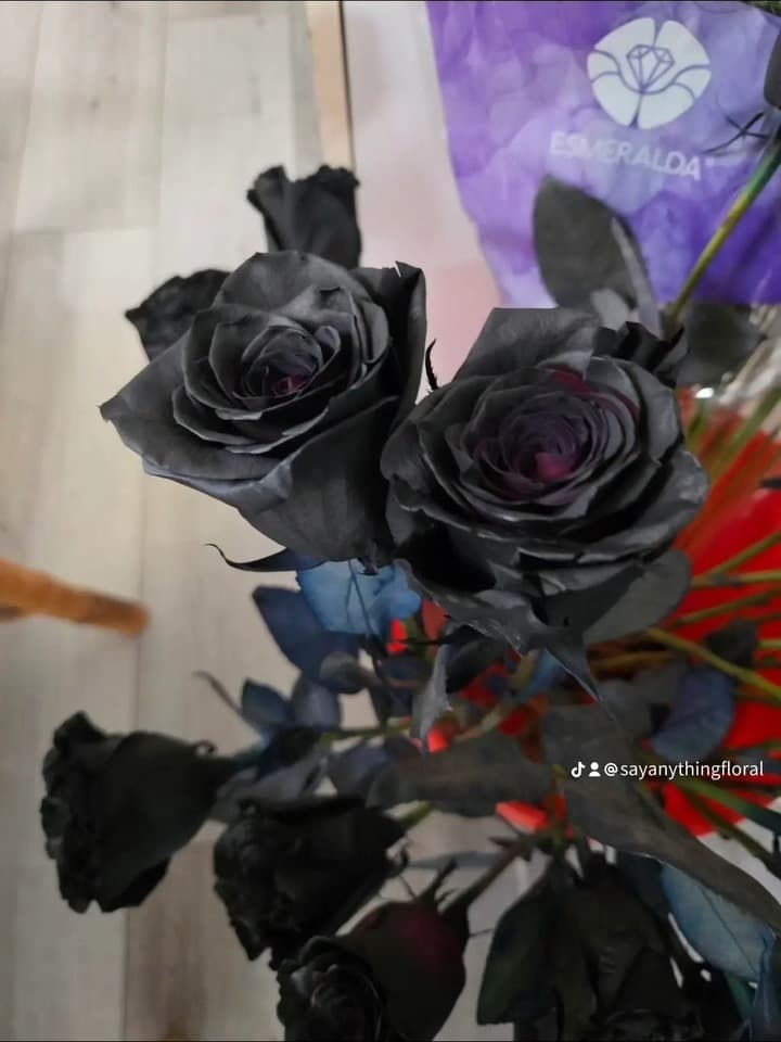 Deep black roses with dark foliage and red accents